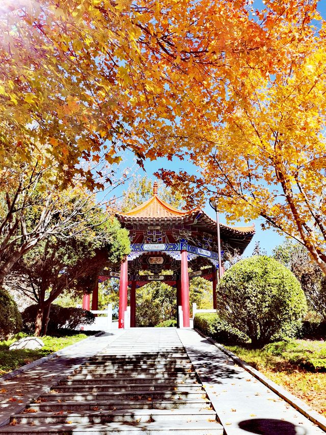 【河南省湯陰縣】毓秀園。 【河南省湯陰縣】毓秀園。