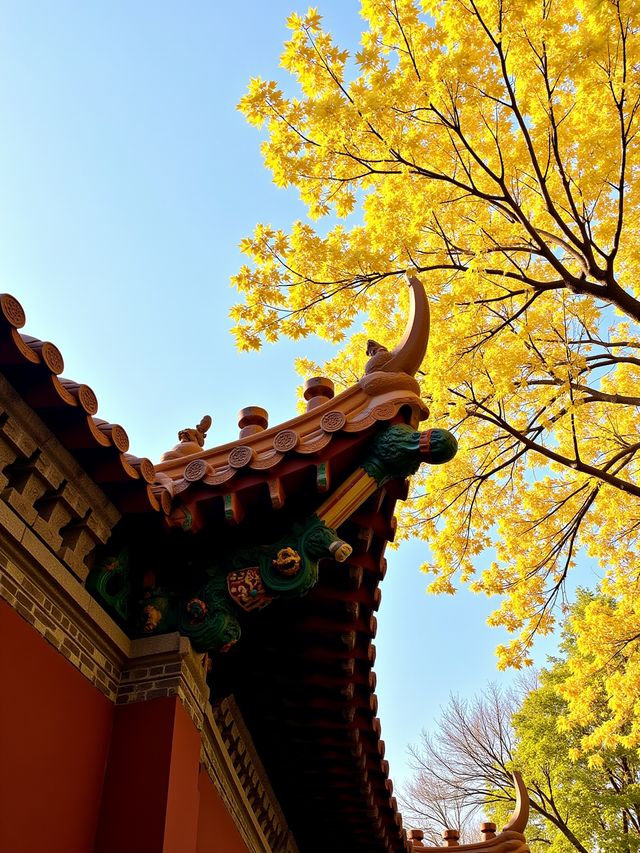 唔好再去擠九寨溝啦！我搵到一個藏喺甘肅天水嘅「隴上小九寨」！