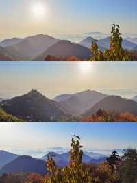 莫干山賞秋攻略｜被大自然調色盤美哭的童話世界！