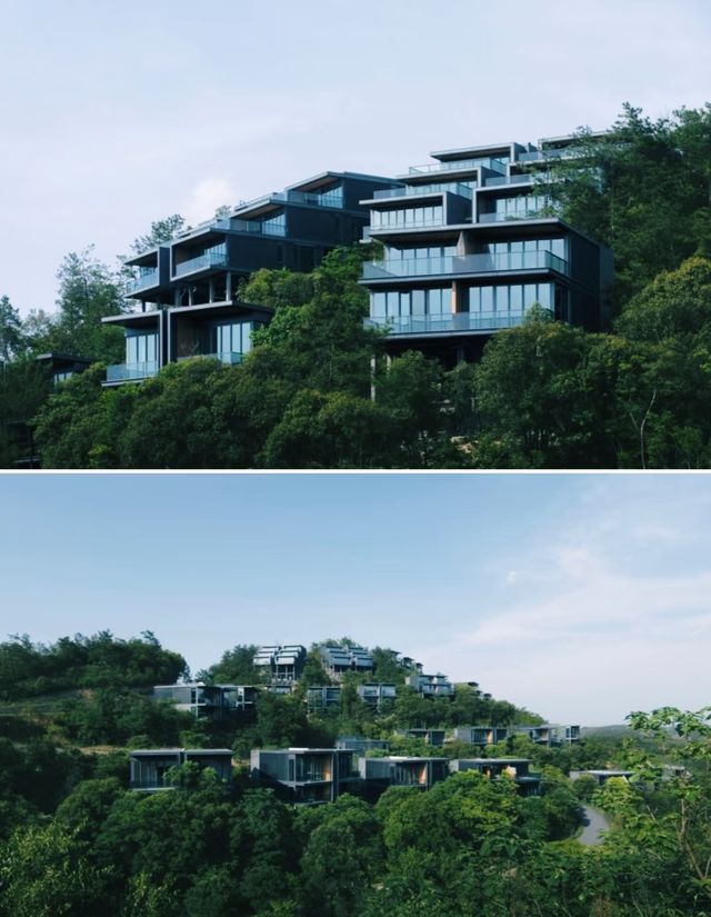 承包六座山頭的森系度假酒店莫干山·郡安里