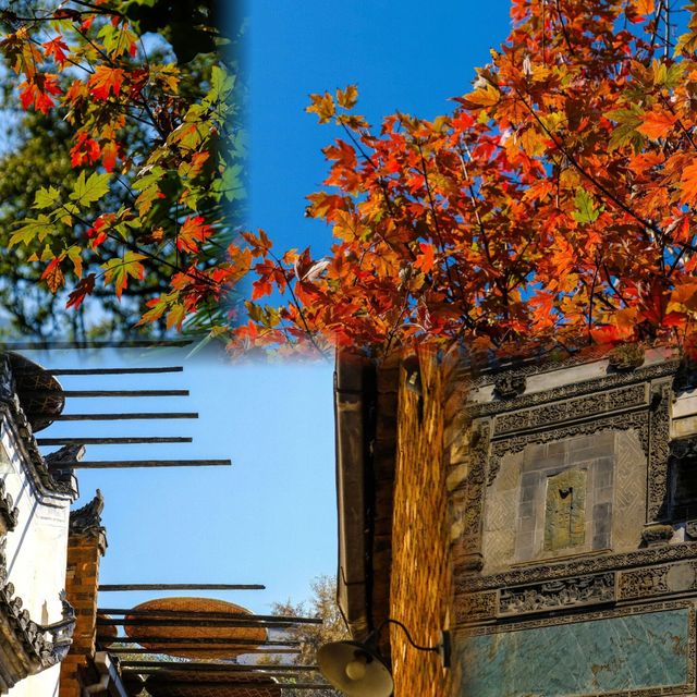 絕美秋色！齊雲山一日精華遊攻略 