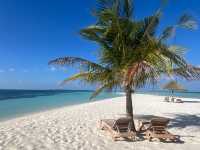 Convenient Shopping Hub on Kuhio Avenue