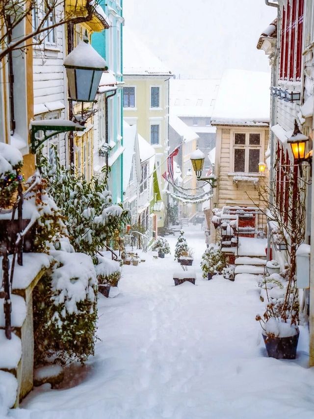 卑爾根冬日旅行攻略 卑爾根冬日旅行攻略