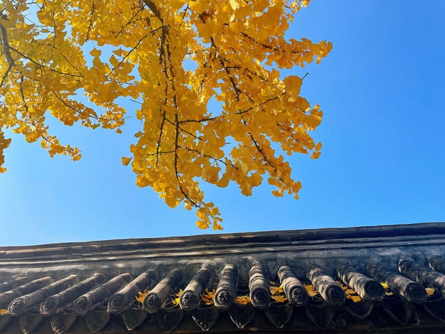 初冬·暖陽·古剎 初冬·暖陽·古剎