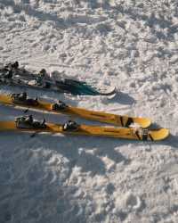 雪馭千年獵場，亞布力藏冬日浪漫祕境