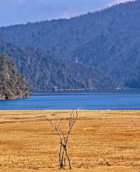 雲南秋日封神!普達措私藏玩法,避開人潮邂逅童話秘境