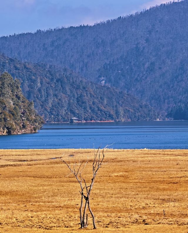 雲南秋日封神!普達措私藏玩法,避開人潮邂逅童話秘境 雲南秋日封神!普達措私藏玩法,避開人潮邂逅童話秘境