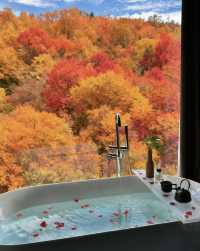 住進風景裡藏寨秘境裡的神仙酒店太絕了