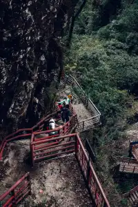 旗山森林公園徒步偶遇猴哥!20km古道+網紅