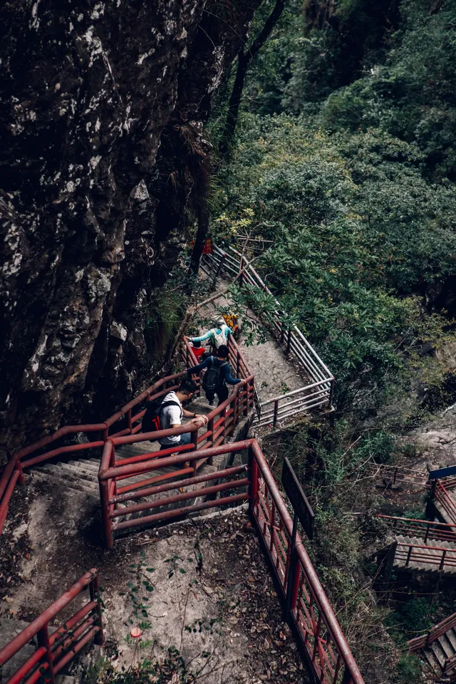 旗山森林公園徒步偶遇猴哥!20km古道+網紅 旗山森林公園徒步偶遇猴哥!20km古道+網紅
