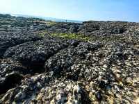 防城港小眾秘境避開人潮獨享整片海灘！