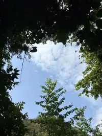 11月黃果樹瀑布實況