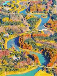 泗洪2天1夜|城東生態公園秋意濃!