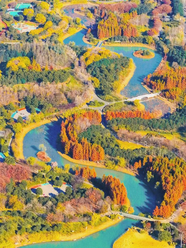泗洪2天1夜|城東生態公園秋意濃! 泗洪2天1夜|城東生態公園秋意濃!