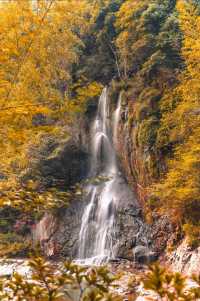 浙東小九寨賞秋攻略,錯過等一年