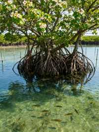 日出封神！南匯東灘濕地無痕遊玩+福利攻略