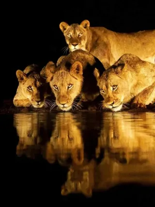 Challenge Invitation | Dare to Explore Tanzania in Ten Days!