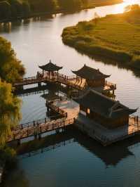 杭州灣濕地公園親子攻略!觀鳥+科普+遛娃一站