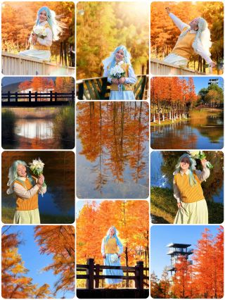 長沙松雅湖的水杉美得犯規！