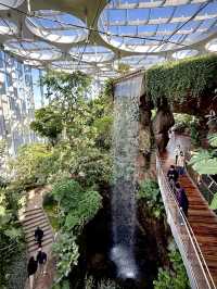 不愧是上海公園美到「未來感」拉滿