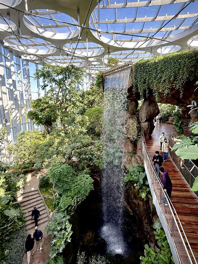 不愧是上海公園美到「未來感」拉滿 不愧是上海公園美到「未來感」拉滿