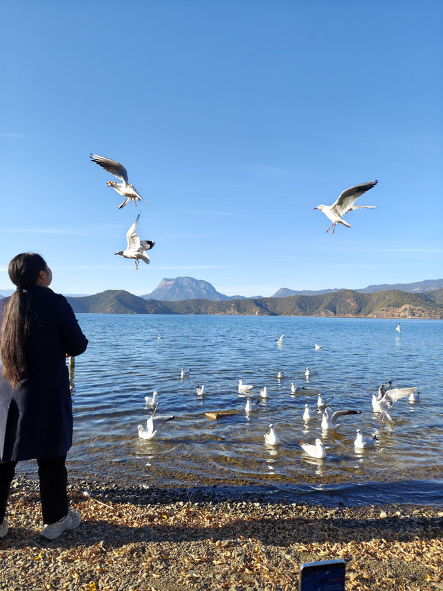 住進觀山海•湖畔，私藏瀘沽湖的山水畫卷