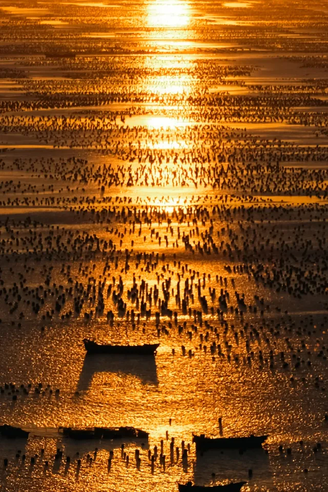 嵊泗 | 枸杞島 | 邂逅絕美日落 嵊泗 | 枸杞島 | 邂逅絕美日落