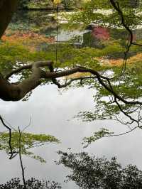 A More Balanced Kyoto Temple Experience