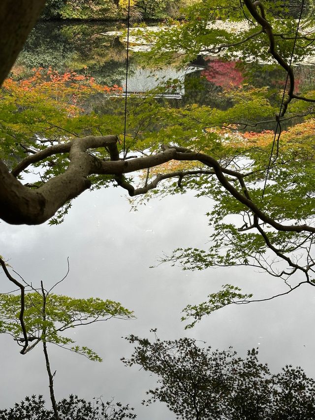 A More Balanced Kyoto Temple Experience