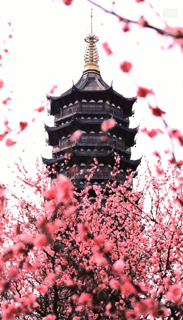 宿遷拍照黨衝!酒店步行到各景點,停車免費 宿遷拍照黨衝!酒店步行到各景點,停車免費