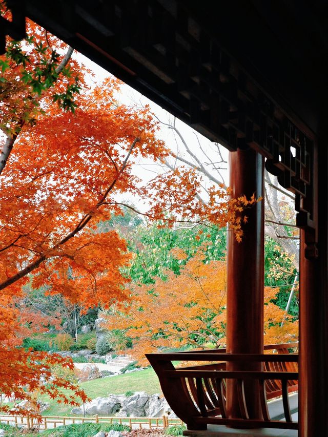 上海世博文化公園裡隱藏的寶藏園林!申園也太仙了叭~ 上海世博文化公園裡隱藏的寶藏園林!申園也太仙了叭~