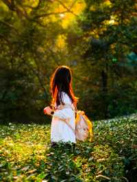 12.1實拍九溪現實版莫奈的秋日花園