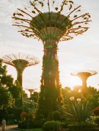 武漢12月遛娃!植物園美成莫奈油畫