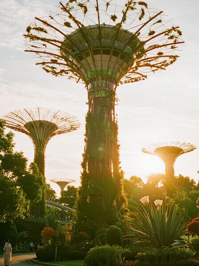 武漢12月遛娃!植物園美成莫奈油畫 武漢12月遛娃!植物園美成莫奈油畫