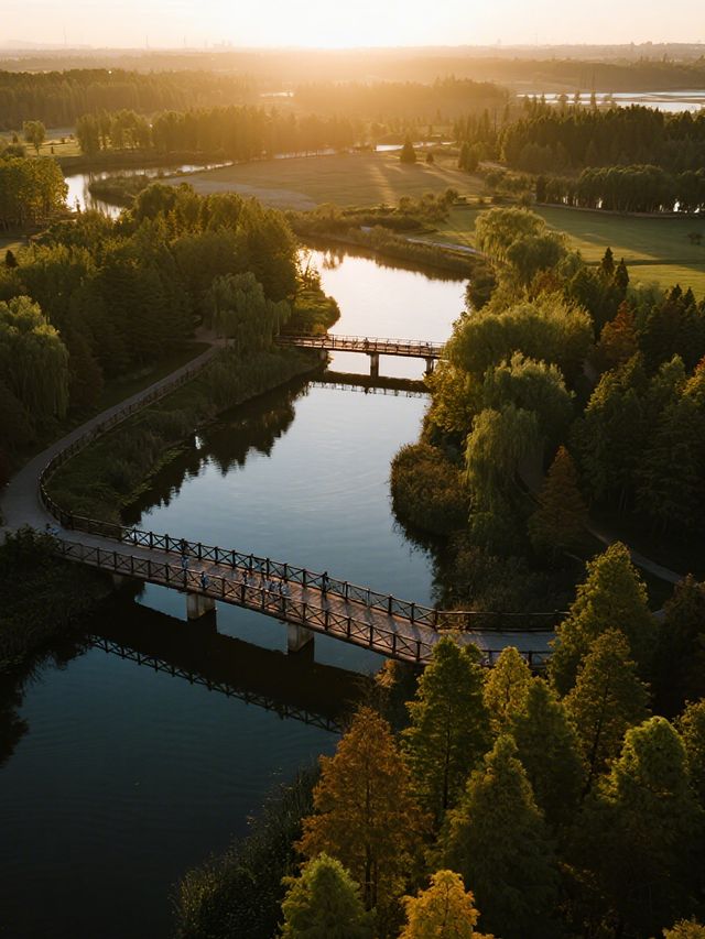 上海12月遛娃！水上森林美成油畫