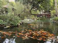 方寸之間的天地