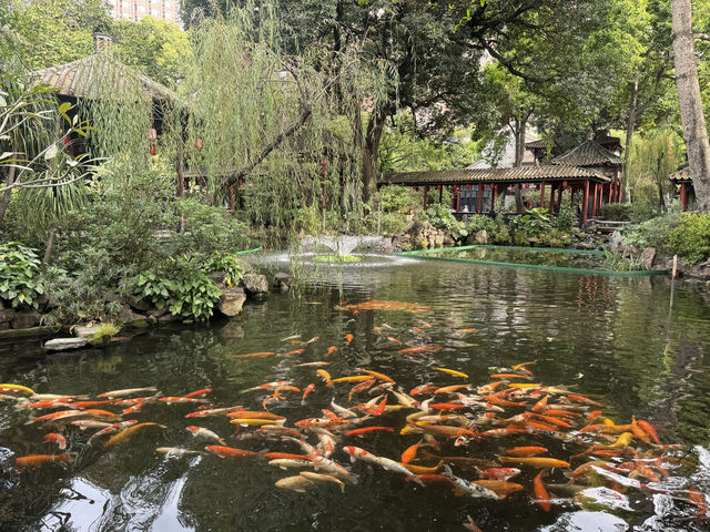 方寸之間的天地 方寸之間的天地