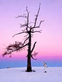 11.26實拍冬天的阿勒泰真的美到封神!!