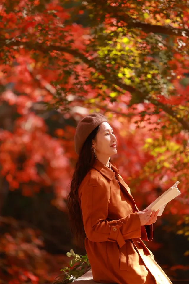 11月28日實拍|莫干山的紅楓|原圖直出 11月28日實拍|莫干山的紅楓|原圖直出