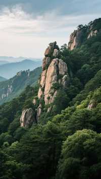 泰山!一生一定要去一次的聖地