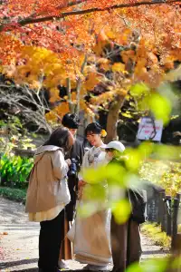 名古屋紅葉 東山植物園2025.11.27