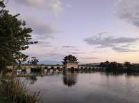 藍調時刻的雙龍橋