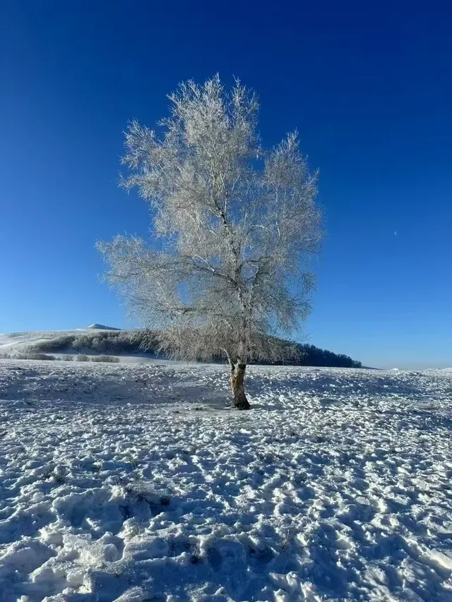 比起東北,我更喜歡機票便宜一半的烏蘭布統 比起東北,我更喜歡機票便宜一半的烏蘭布統
