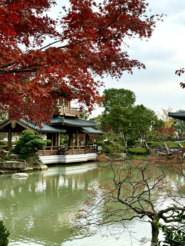 live赴一場人少景美的寶山寺唐風紅葉之約 live赴一場人少景美的寶山寺唐風紅葉之約