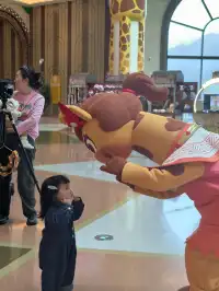 在清遠長隆過生日太!!!快樂啦!!