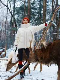 當你坐上了通往長白山的童話世界…