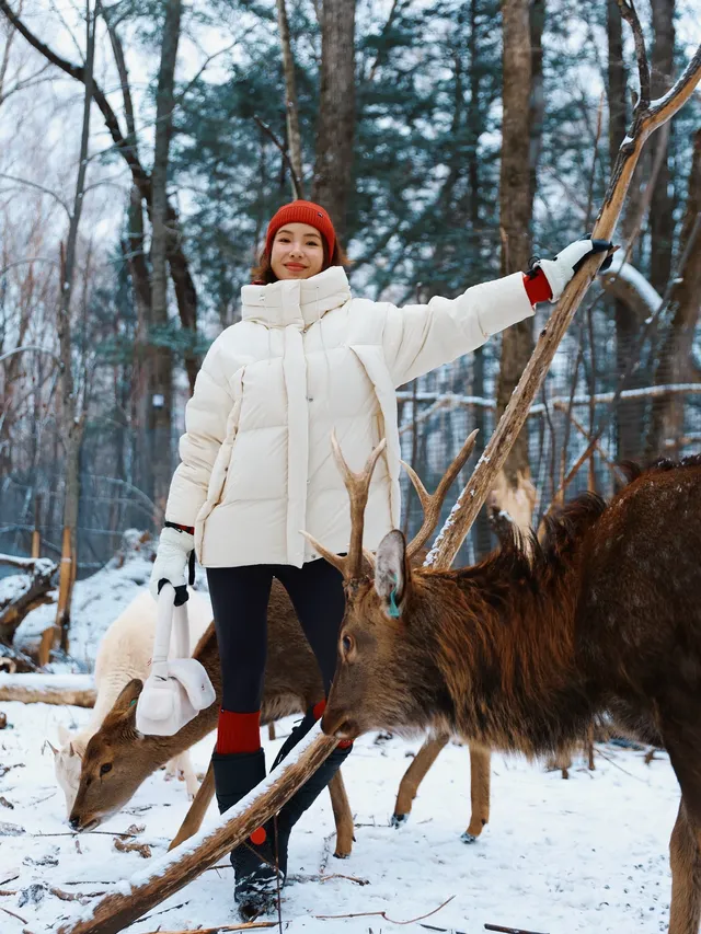 當你坐上了通往長白山的童話世界… 當你坐上了通往長白山的童話世界…