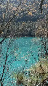 雲南7天6晚solotrip repo