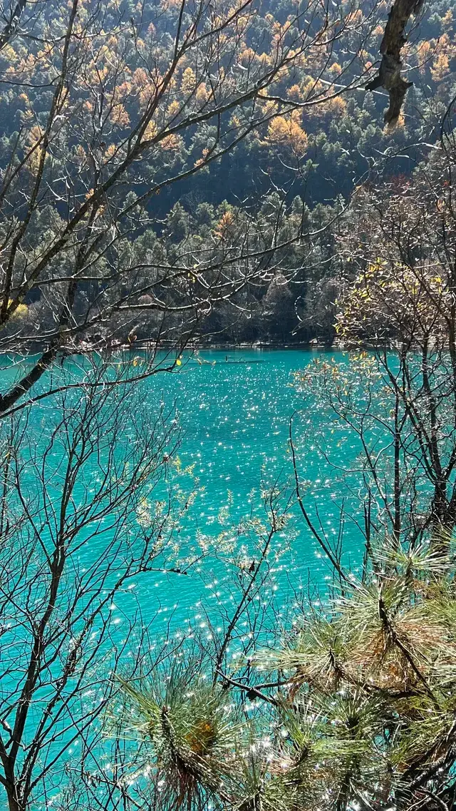 雲南7天6晚solotrip repo 雲南7天6晚solotrip repo