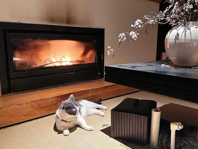 宏村一日遊保姆級最全攻略,這一篇就夠 宏村一日遊保姆級最全攻略,這一篇就夠